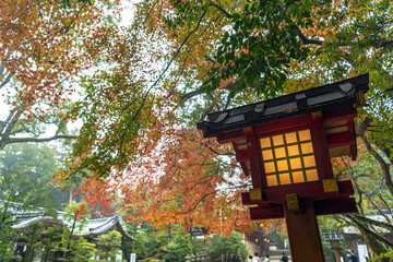 石上神宮 晩秋の境内風景