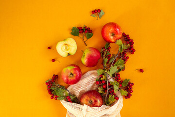 Red organic garden apples and hawthorn berries in mesh bag on ogange background. Autumn still life flat lay
