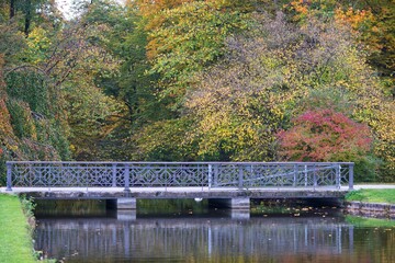 Fototapeta na wymiar Ponte di metallo riflesso sul fiume con alberi, colori brillanti in autunno nel parco