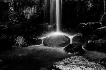 Foto auf Acrylglas Schwarz und weiss Wilder Wald Wasserfall