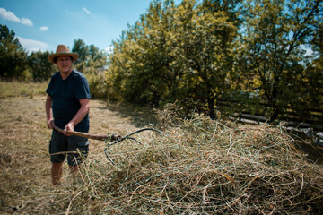 Middle-aged farmer making a haystack with a pitchfork for the winter on a sunny day in autumn. Agricultural work. Hay harvesting.