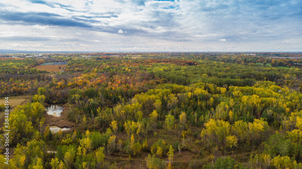 Wall mural Canadian autumn, aerial view of Laval city in Quebec