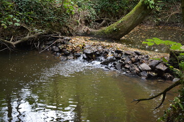 Orvault - Vallée du Cens - Aménagements fauniques sur un secteur de la rivière