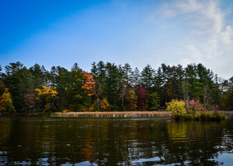 Fototapeta na wymiar autumn landscape with lake and trees Lake Shaftsbury Vermont