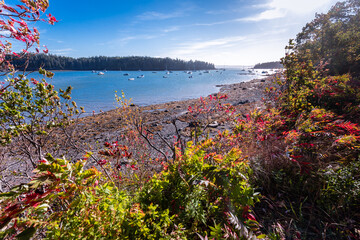 Autumn colors light up the shoreline of the ocean in a cove near Sorrento, Maine and Acadia National Park