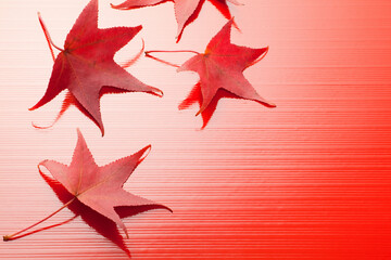 もみじの葉の和風イメージ