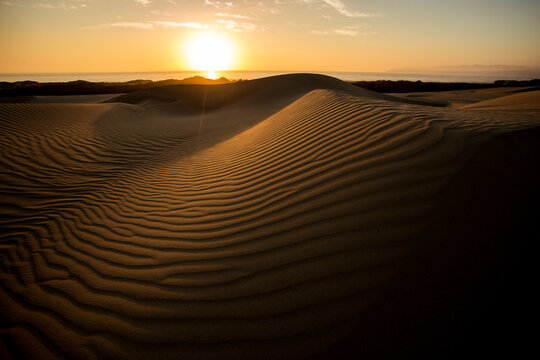 Sunset in the dunes