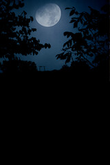 Fototapeta na wymiar Halloween night background, with the misty sky, moon, and trees in silhouette. 