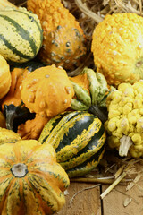 Gourds of Fall