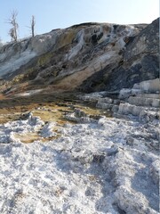 Fototapeta na wymiar Mammoth Hot Springs, Yellow National Park, WY, USA