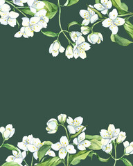 Watercolor flower, card with white jasmine with green leaves, hand drawn illustration. Stock illustration for design, wedding invitations, greeting cards, postcards, kitchen and save the date.