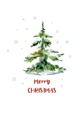 Forest tree. Set spruce trees scandinavian illustrations isolated on white background.