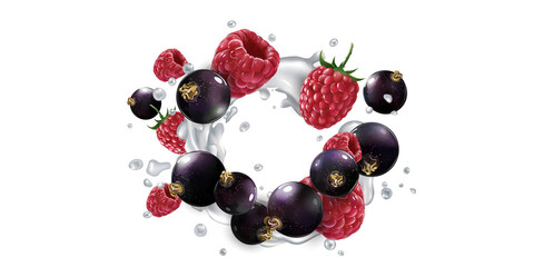 Black currants and raspberries in splashes of yogurt or milk.