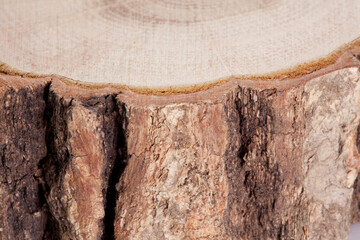 丸太の断面と樹皮