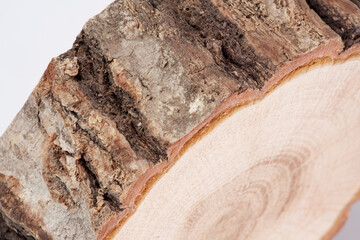 丸太の断面と樹皮