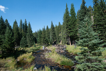 South Clear Creek Campground Trail in Bighorn National Forest, Wyoming. USA. Back to Nature concept.