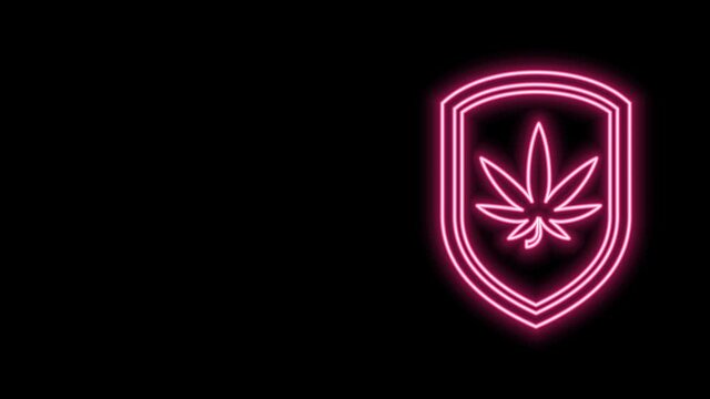 Glowing neon line Shield and marijuana or cannabis leaf icon isolated on black background. Marijuana legalization. Hemp symbol. 4K Video motion graphic animation