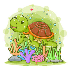 The little turtle has the brown shell is swimming the water