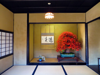 minimalistic Japanese room with tatami mats and bonsai