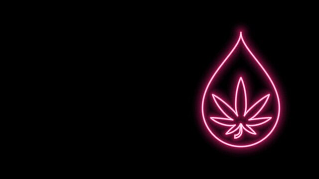 Glowing neon line Medical marijuana or cannabis leaf olive oil drop icon isolated on black background. Cannabis extract. Hemp symbol. 4K Video motion graphic animation