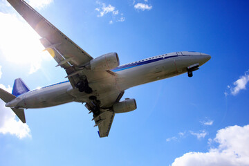 飛行機