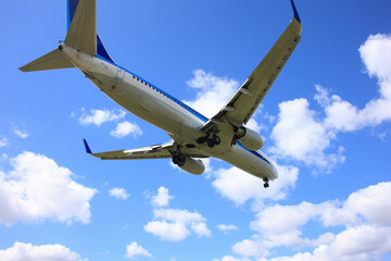 飛行機