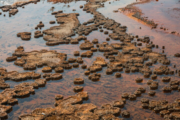 Hot Springs and gushing Geysers at Yellowstone National Park wilderness area atop a volcanic hot spot. USA.