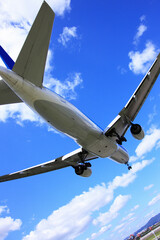 飛行機