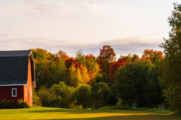 Fototapeta na wymiar evening sunlight lighting up red barn and trees in fall foliage colors 