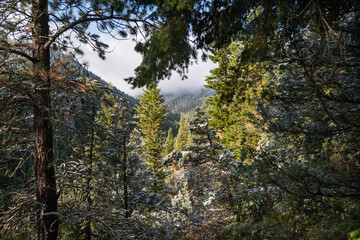 Obraz premium Storm Castle Peak trail in Custer Gallatin National Forest, Montana. USA. Back to Nature concept.