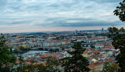 Obraz premium Prague Castle and St. Vitus Cathedral in the center of Prague at sunset