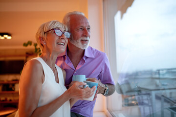 Senior couple at home.