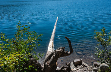 Holland Lake and Falls trail in Flathead National Forest, Montana. USA. Back to Nature concept.