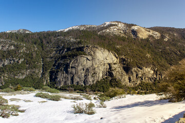 Fototapeta na wymiar Mountain Landscape at Yosemite Park with Blue Sky, Green Pine Trees and Snow in Foreground.