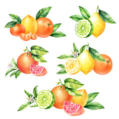 Set of compositions with grapefruit, orange, lemon and bergamot with leaves and blossom. Isolated watercolor illustration of citrus fruit.