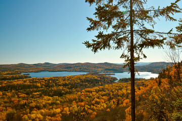 Lake with fall colors in Canadian forest, Quebec