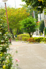 Naklejka premium 三軒茶屋の遊歩道