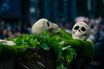 Dia de Muertos 2019