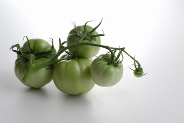 連なった緑のトマト