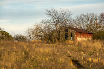 Fototapeta premium old barn in the field
