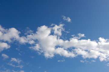 Obraz premium ひつじ雲