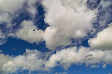 わた雲