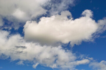 わた雲