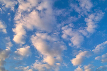 ひつじ雲