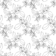 Seamless pattern black line art branch with leaves and berries barberry on white. Art creative hand-drawn background for coloring book, wallpaper, florist, notebook, celebration, wrapping