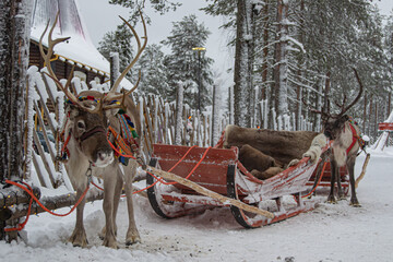 VIllage Santa Claus. 

Rovaniemi Finlandia. - obrazy, fototapety, plakaty