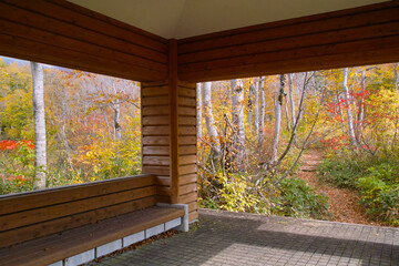 あづま屋から見える紅葉