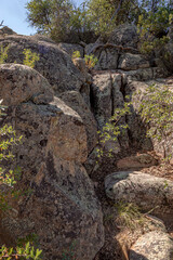Fototapeta na wymiar Rock Wall on an Arizona trail