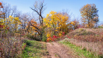 Fototapeta premium Autumn scenes under sunny day 