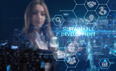 Business, technology, internet and network concept. Young businessman thinks over the steps for successful growth: Sustainable development